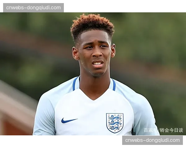 2026-27赛季德甲用球设计草案曝光